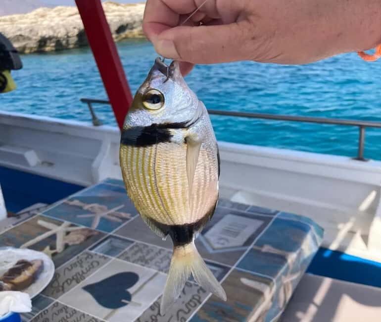 Chania: Fishing Boat Trip with Breakfast and Swim - Final Thoughts