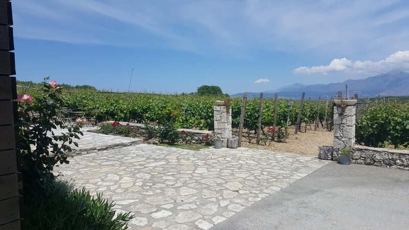 Chania: Full-Day Vineyard & Winery Private Tour w/ Tastings - A Deep Dive into the Crete Wine and Spirit Tour