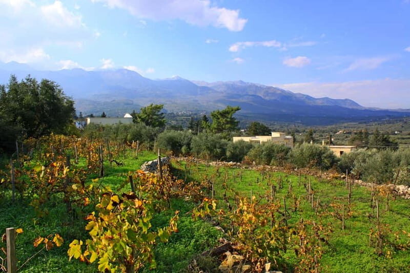 Chania: Full-Day Vineyard & Winery Private Tour w/ Tastings - Final Thoughts