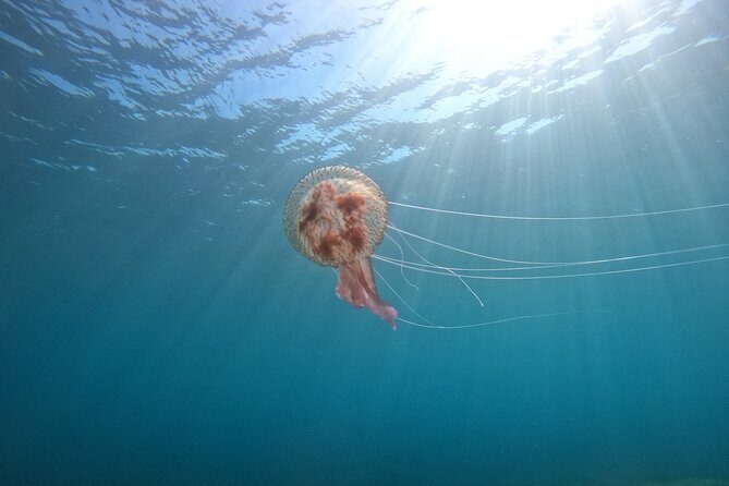 Chania Guided Snorkeling and Boat Excursion - Who Would Love This Tour?