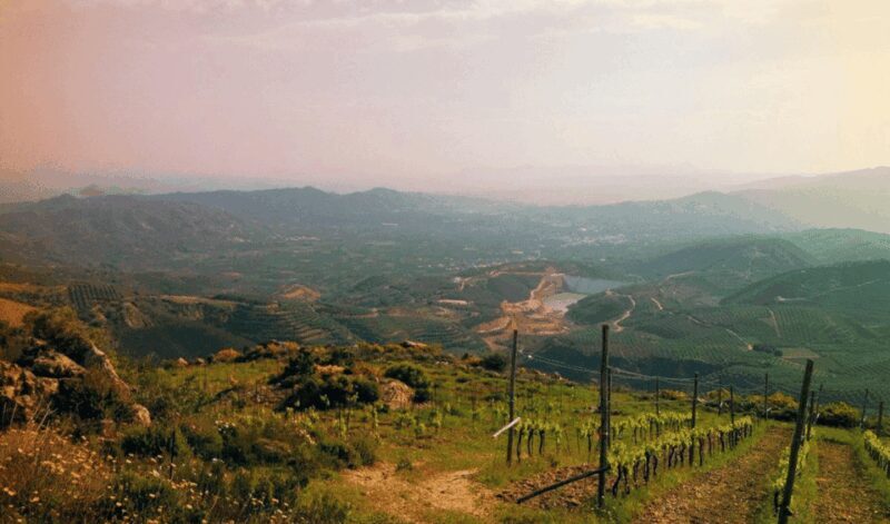 Chania Luxuries: Secrets of Wine and Olive Oil Tastings - Price and Value Consideration