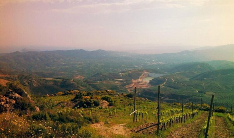 Chania Luxuries: Secrets of Wine and Olive Oil Tastings - FAQs