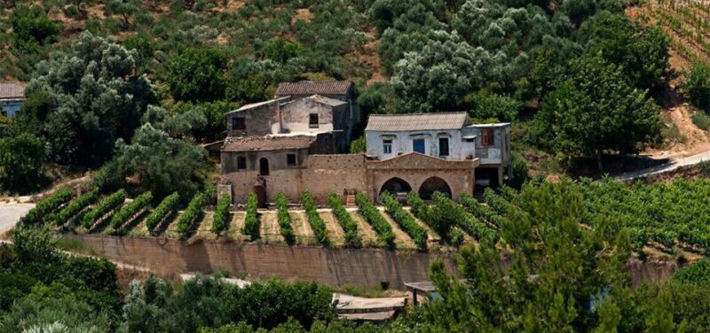 Chania: Milia Mountain Tour w/Lunch Olive Oil/Wine Tastings - Who Should Consider This Tour?