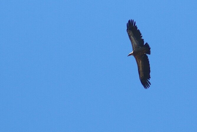 Chania Nature & Villages, White Mountains & Unique Cretan Lunch - FAQ