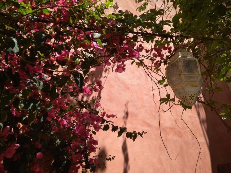 Chania Old Town: Artisans & Sightseeing Walking Tour - Key Points