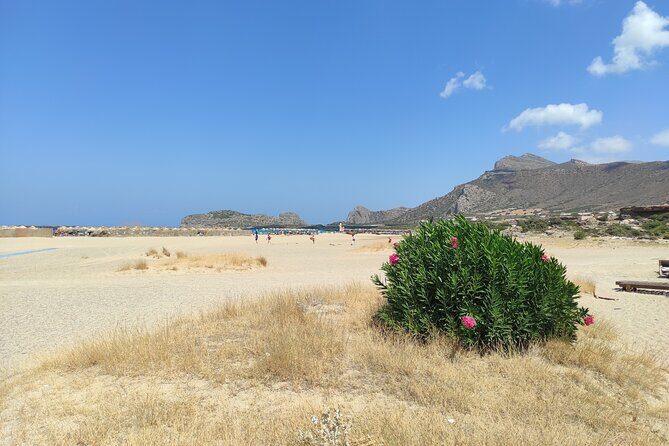 Chania Pink Beaches Private Tour: Elafonisi & Falassarna - Final Thoughts