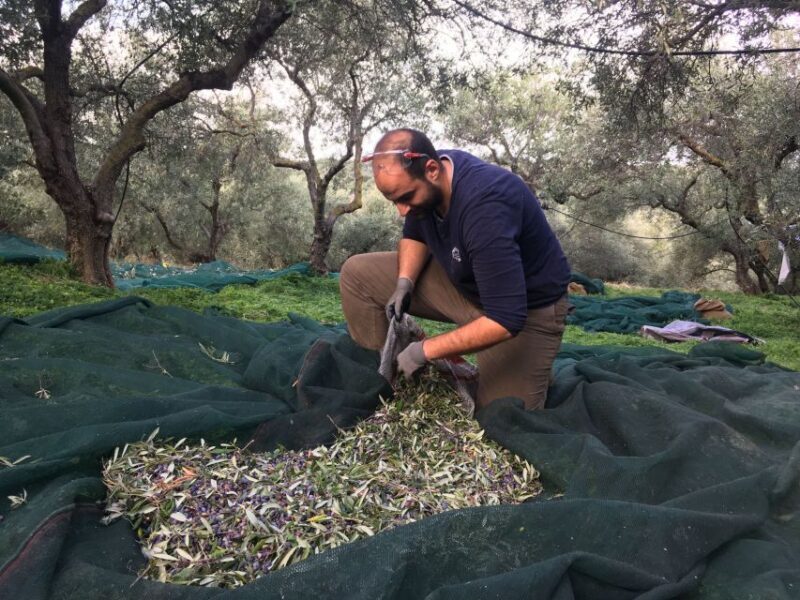 Chania Private Olive Oil Tour: Oil Tasting & Villages Tour - Key Points