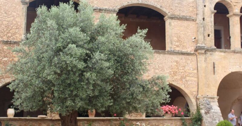 Chania Private Olive Oil Tour: Oil Tasting & Villages Tour - What Makes This Tour Stand Out