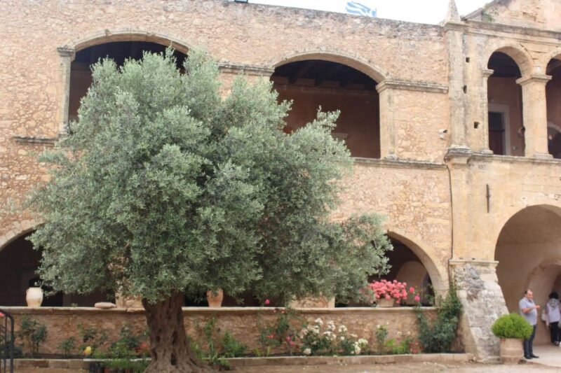 Chania Private Olive Oil Tour: Oil Tasting & Villages Tour - The Value of the Experience