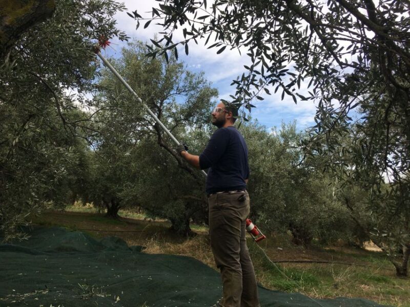 Chania Private Olive Oil Tour: Oil Tasting & Villages Tour - Practical Details
