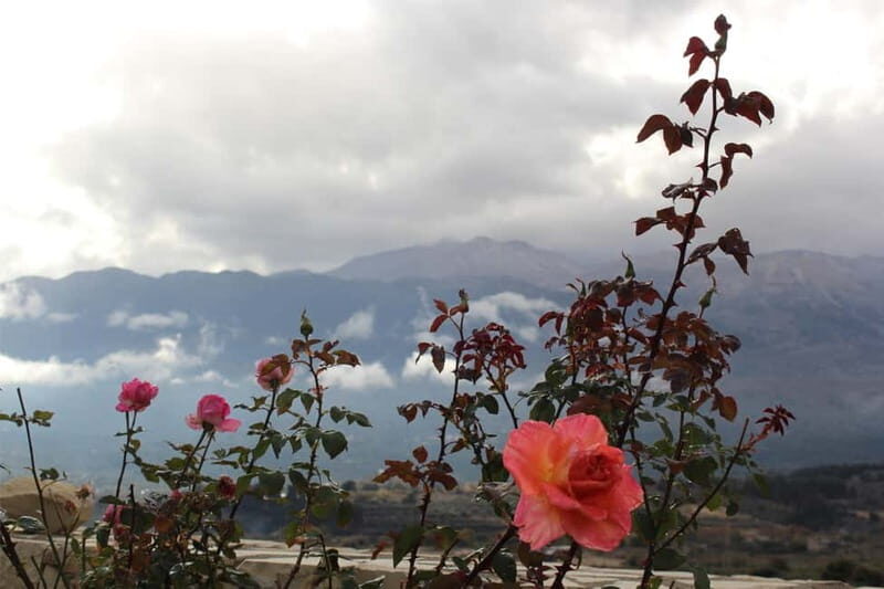 Chania: Private Sunset Sightseeing Tour with Historian Guide - Key Points