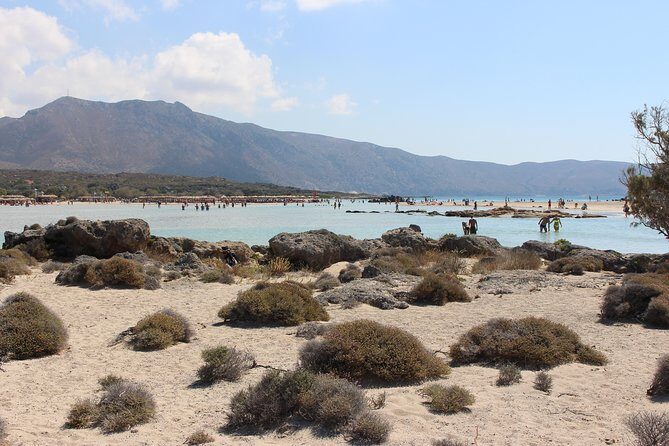 Chania Private Tour To Elafonissi and Falasarna - Who Is This Tour Best For?