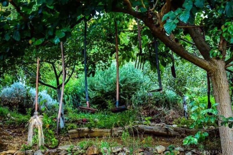 Chania Safari & Botanical Garden  Nature & Aromas Tour - A Closer Look at the Experience