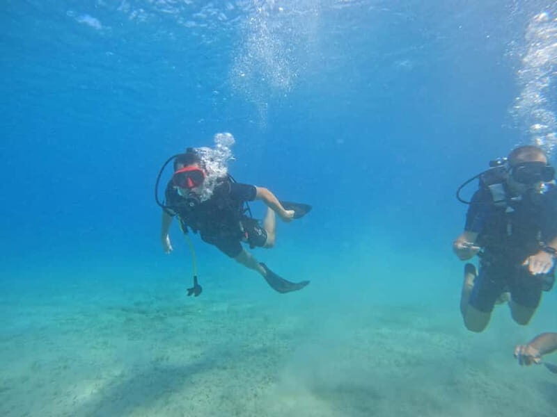 Chania: Scuba Diving and Snorkeling for Beginners by Boat - Key Points