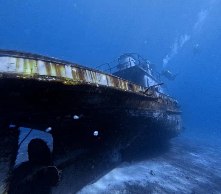 Chania Scuba Diving | Boat Dives | Certified Divers - Key Points