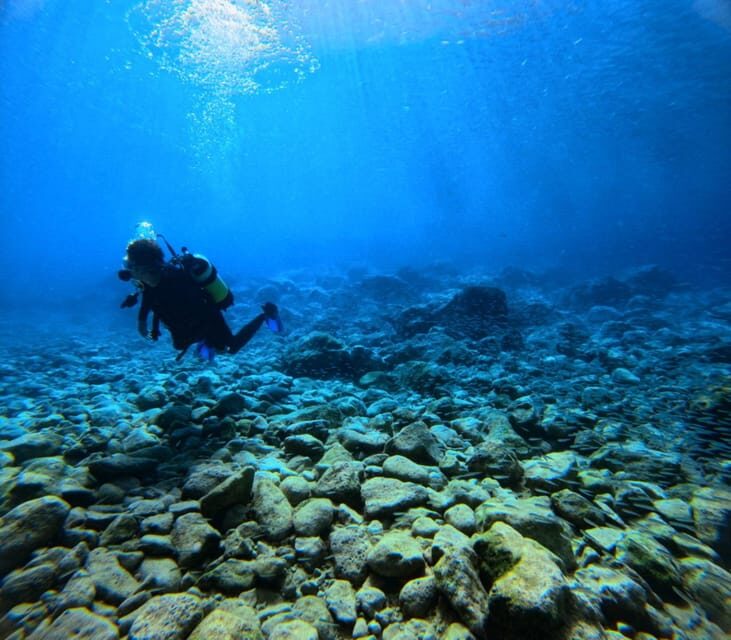 Chania Scuba Diving | Fun Dives | Certified Divers - The Reviews: Authentic Perspectives