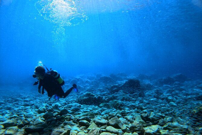 Chania Scuba Diving | Fun Dives | Certified Divers - What to Expect from Your Crete Scuba Adventure