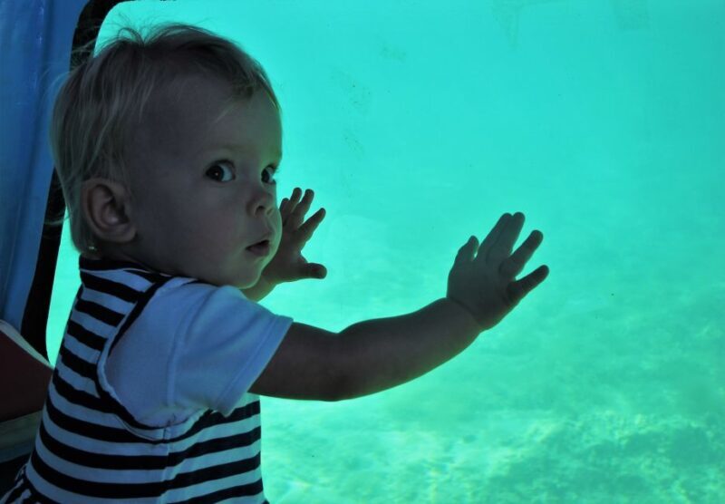 Chania: Semi-Submarine Boat Underwater Experience - A Detailed Look at the Semi-Submarine Experience