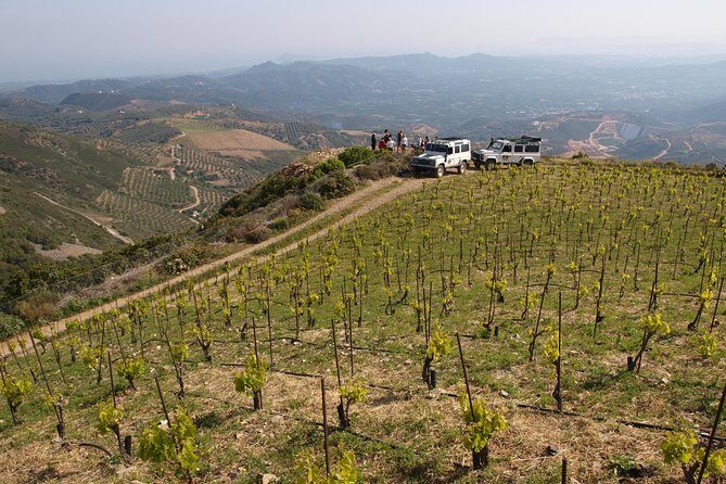 Chania Shore Excursion Off Road Vineyard and Winery Tour Half Day - The Itinerary Explored