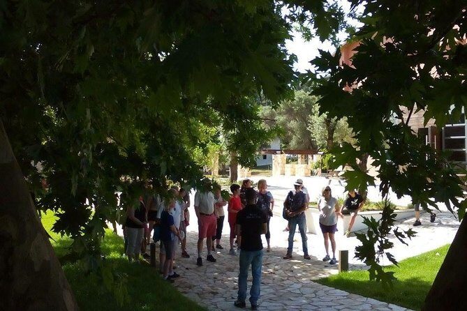 Chania Shore Excursion Off Road Vineyard and Winery Tour Half Day - The Experience from a Traveler’s Perspective