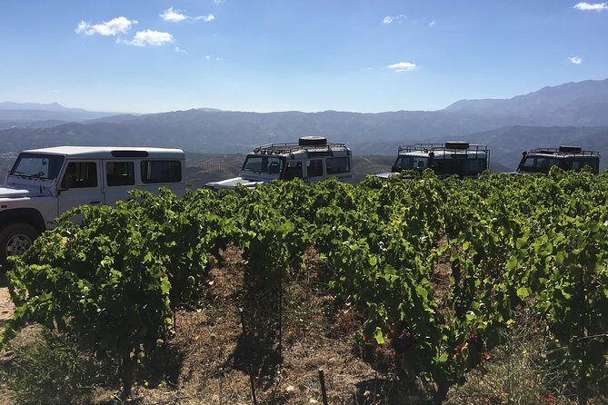Chania Shore Excursion Off Road Vineyard and Winery Tour Half Day - Final Thoughts