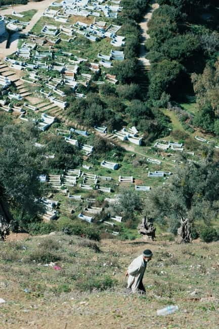 Chania: Shore Excursion to Agia Triada Monastery & Chania - FAQ — Practical Questions About the Tour