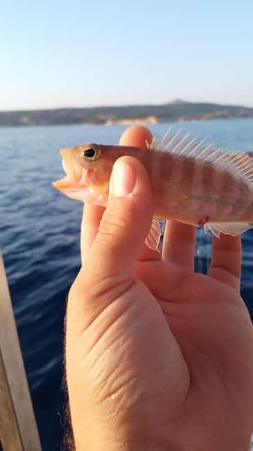 Chania: Sunset Fishing Trip with Local Captain - What to Expect on Your Crete Sunset Fishing Trip