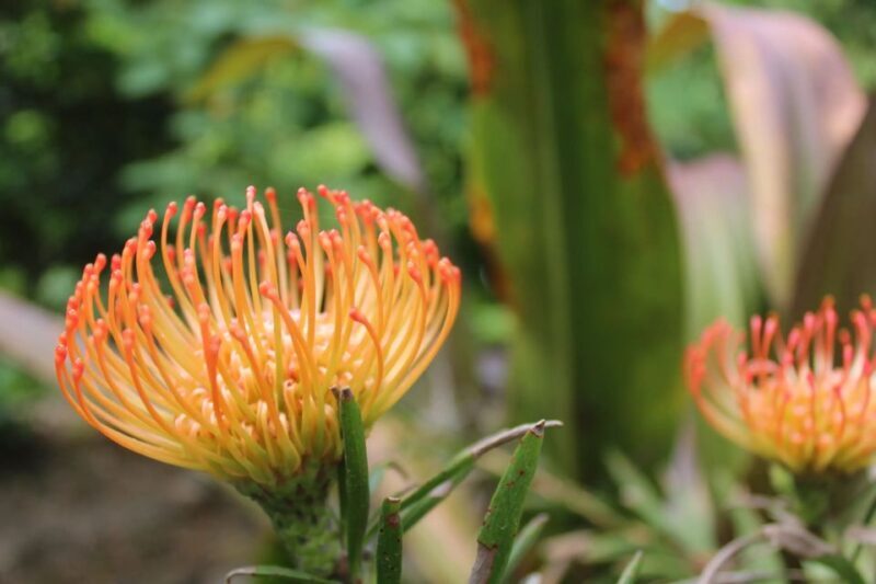 Chania to the Lakes of Crete: Private tour to Aqua Paradise - Who Will Enjoy This Tour?