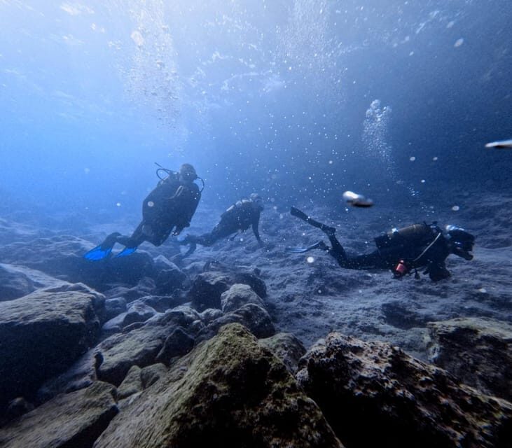 Chania | Try Scuba Diving | Private Introduction Dive - Chania | Try Scuba Diving | Private Introduction Dive Review