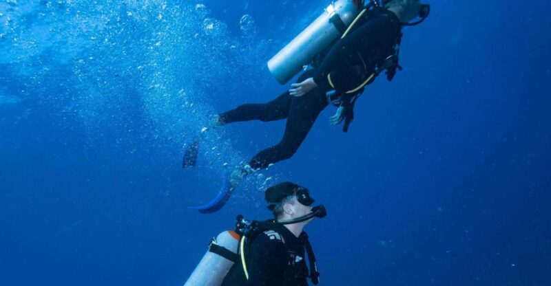 Chania:Try Scuba Diving 2shore dives(Receive Certification) - What to Expect from the Experience