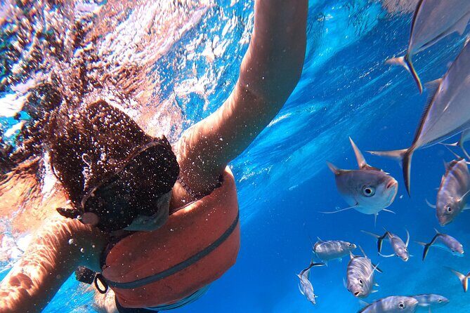 Chankanaab Park Admission +Snorkeling + Lunch included - The Realities: Benefits and Downsides