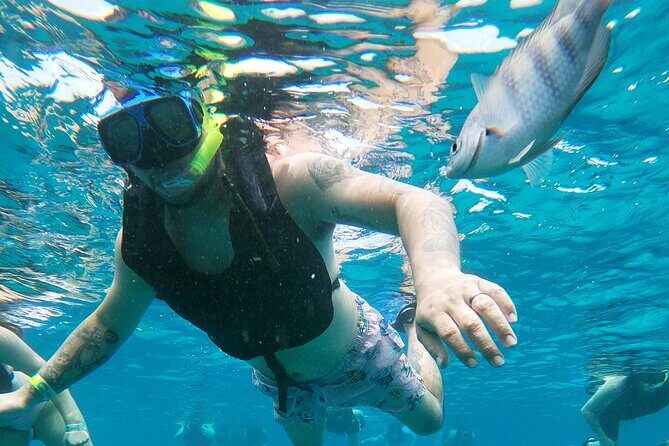 Chankanaab Park Admission + Welcome drink + Snorkeling - The Sum Up: Is it Worth It?