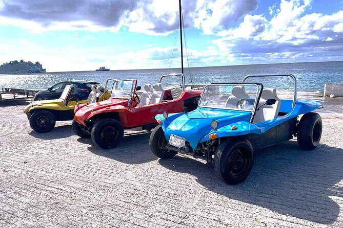 Chankanaab Park and Island Tour by Buggy with Mexican Lunch - Who This Tour Is Best For