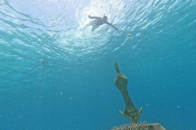 Chankanaab Park entrance ticket with snorkeling and buffet included - A Closer Look at What to Expect