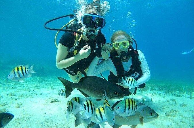 Chankanaab Park Plus Discovery Scuba Dive with Lunch - FAQ