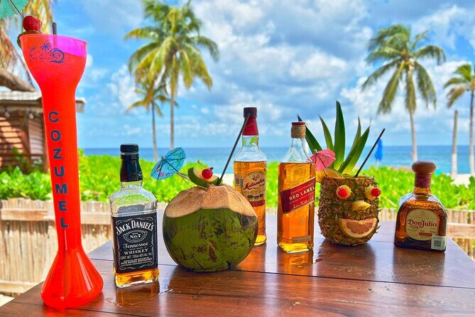 Chankanab Park Admission +Open bar +Lunch included +Snorkeling - An Honest Look at the Experience