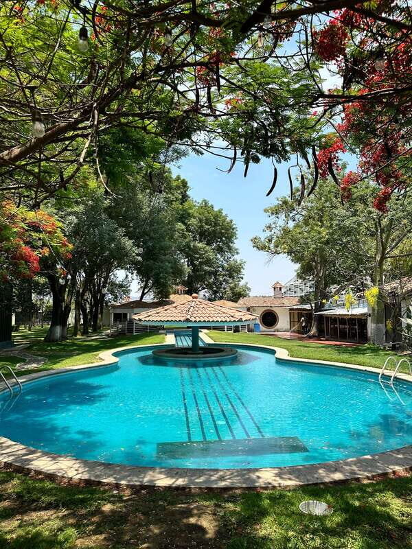 Chapala and Ajijic Tour from Guadalajara with 3 Potrillos - Who Is This Tour Best For?