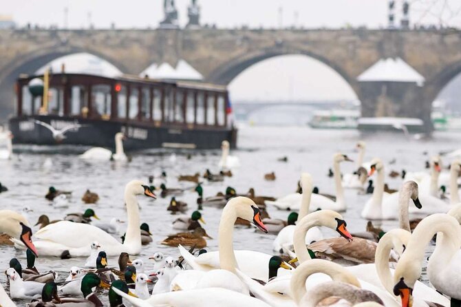 Charles Bridge: River Boat Cruise & Guided Tour ️with PragueWay - Kampa Island: The Most Romantic Short Break You’ll Get