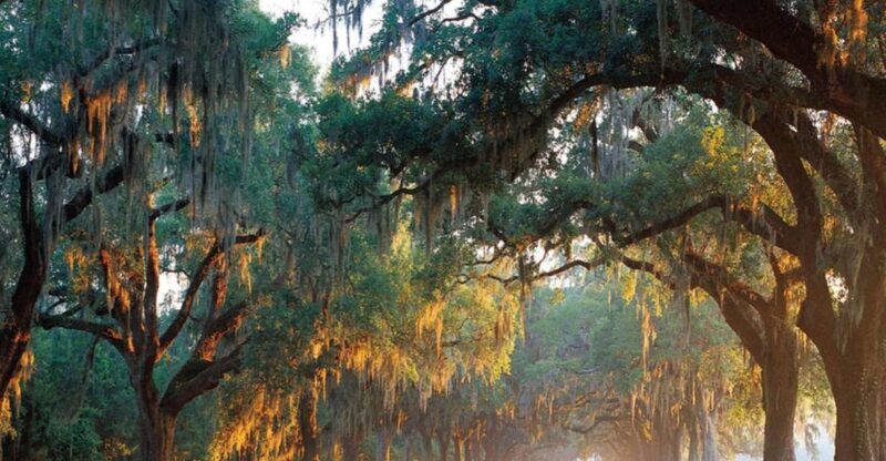 Charleston: Boone Hall & Historic City Tour Combo - Frequently Asked Questions