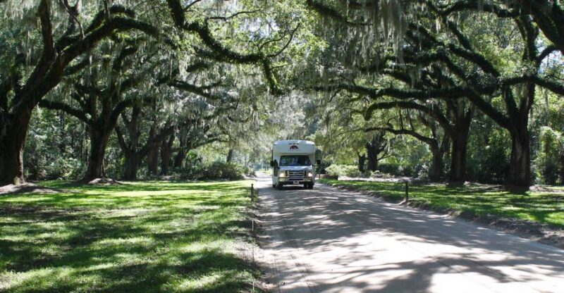 Charleston: Boone Hall Plantation Entry & Tour w/ Transport - Key Points