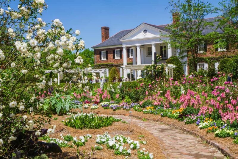 Charleston: Boone Hall Plantation Tour - Real Traveler Insights