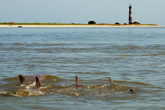 Charleston Eco Boat Cruise with stop at Morris Island Lighthouse - How the Tour Balances Cost and Value
