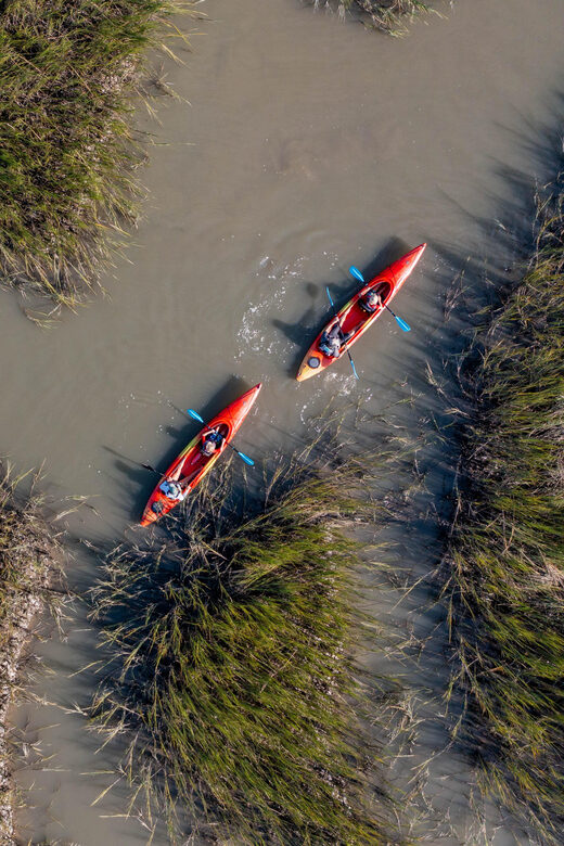 Charleston: Folly Beach Afternoon Kayak Dolphin Safari - A Closer Look at the Tour Experience