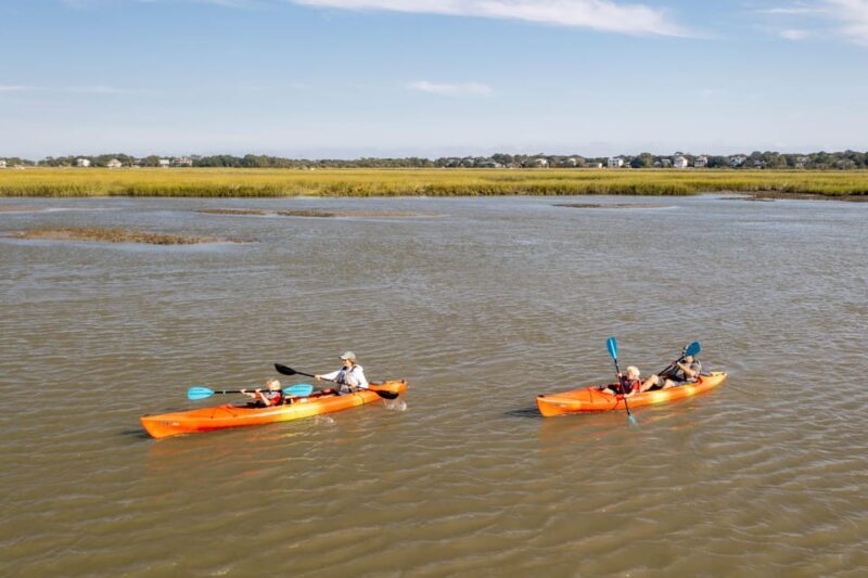 Charleston: Folly Beach Afternoon Kayak Dolphin Safari - Price and Value