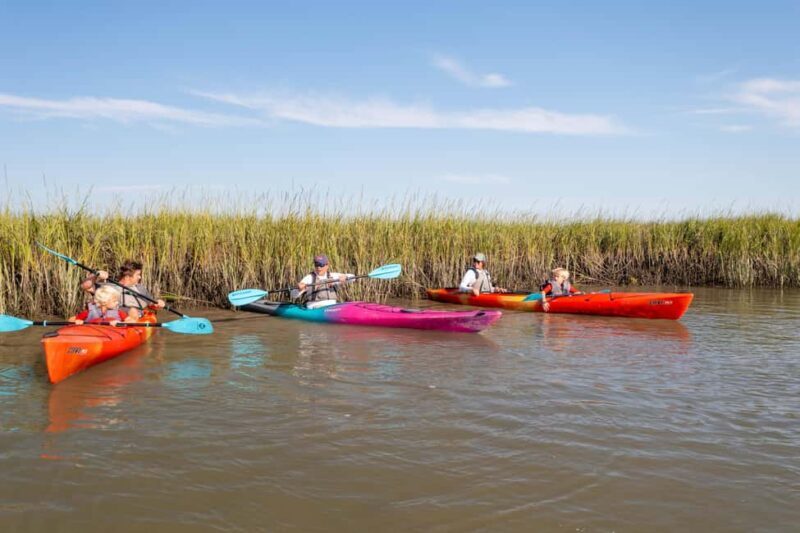 Charleston: Folly Beach Morning Kayak Dolphin Safari - The Equipment and Group Size
