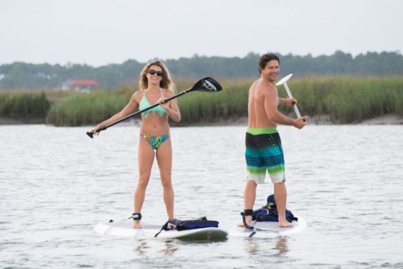 Charleston: Folly Beach Stand Up Paddleboard 2-hour Rental - Wildlife and Scenery