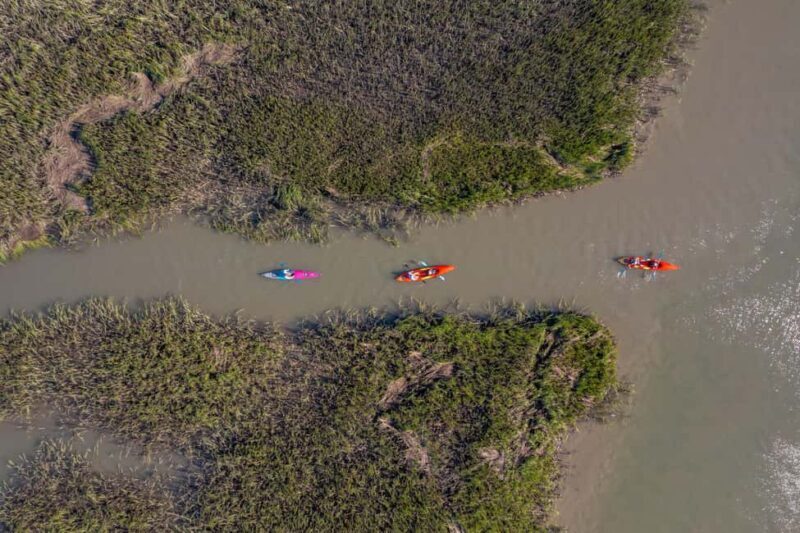 Charleston: Folly River Sunset Kayak Dolphin Safari - Authentic Traveler Feedback