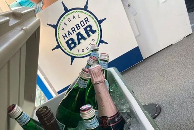 Charleston: Harbor Bar Pedal Boat Party Cruise - How the Reviews Reflect the Experience