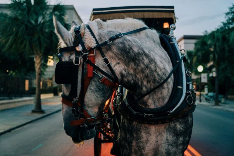 Charleston: Haunted Carriage Evening Tour - The Value of a Short, Themed Carriage Ride