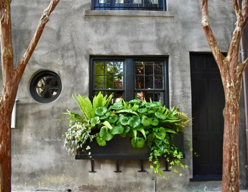Charleston: Hidden Alleys and Historic Sites Walking Tour - What to Expect on the Tour